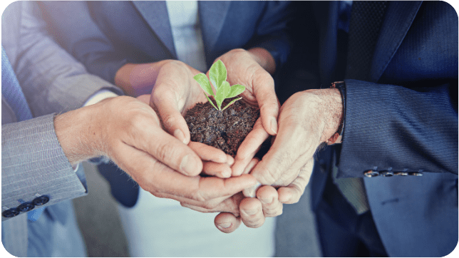 Plan Dinside Valores